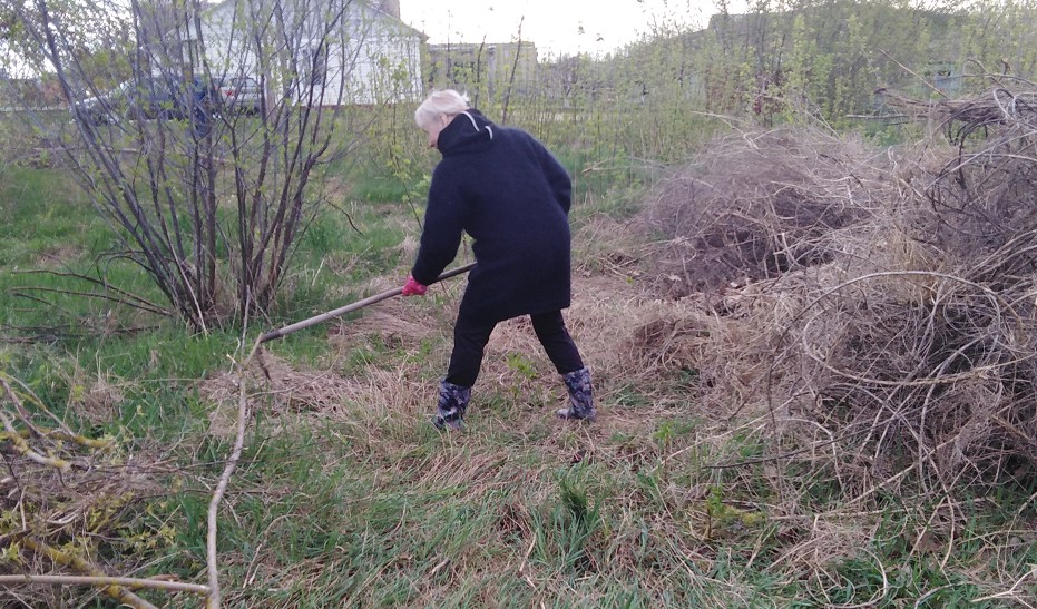 Субботник в городе Каменце